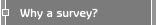 Why a survey?